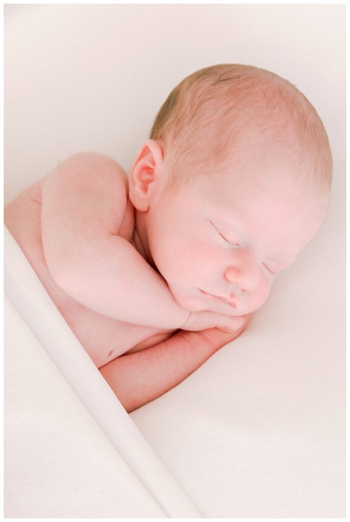 Newborn little boy photographed by halleigh hill